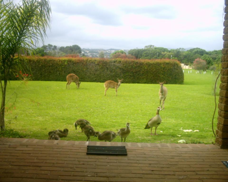 Brenton Lake Holiday Cottages 외부 사진